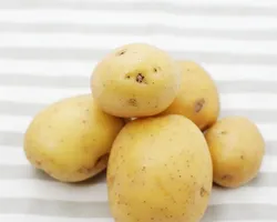 250x200_patate