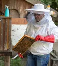 produzione vendita miele millefiori