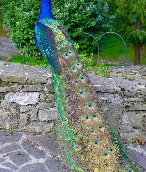 in_piazzo_02