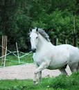 montizzolo_10