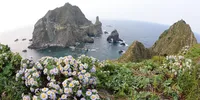 200x100_territorio_07