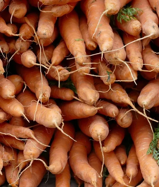 agri_gio_01