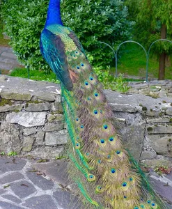in_piazzo_02