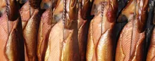 trota_2