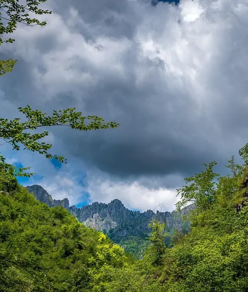 molino_dei_frati_04