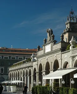 mais - dettaglio