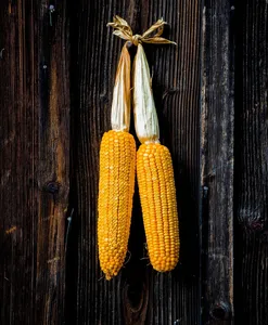 polenta bergamasca