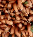 agri_gio_01