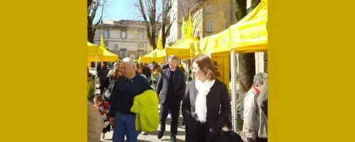 749x300_farmers_market