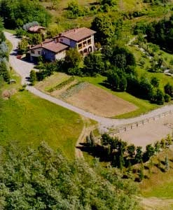 ste_lu_00